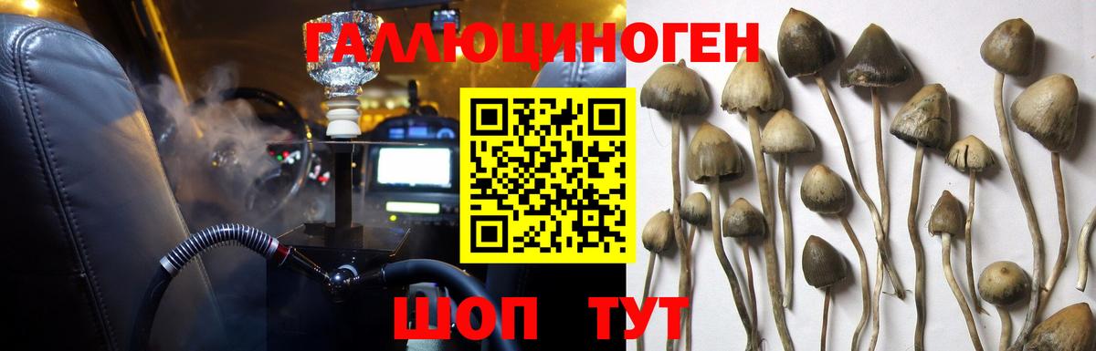 Псилоцибиновые грибы мухоморы  Вход с VPN  Апрелевка  Галлюциногенные грибы Psilocybine cubensis 
